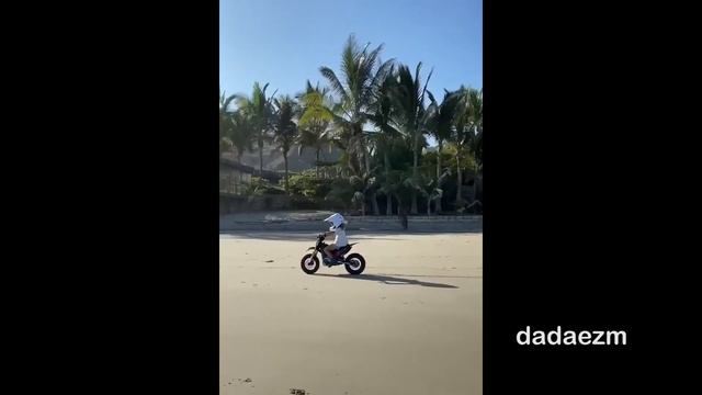 Removing a parasite 😓 from this bee 🐝 смотреть онлайн