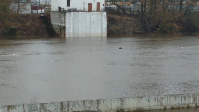 2023.03.29. Смоленск. Набережная. Разлив Днепра. Часть 007 смотреть онлайн