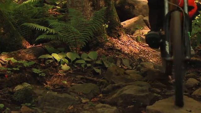 3 этап кубка Школы Маунтинбайка №1. Горки Байк Парк 2017 смотреть онлайн