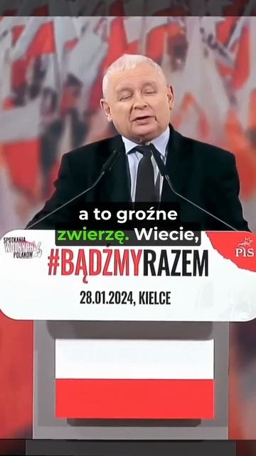 Kaczyński ciśnie Kosiniaka-Kamysza | THE BEST OF SEJM | TYGRYS #polityka смотреть онлайн