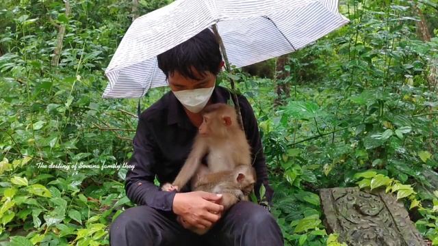 After giving meals for Sovana Dawn Papa Lin was kind enough to cover them with umbrella to protec
