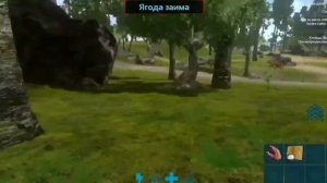 Где семена Х ?! АРК Мобайл