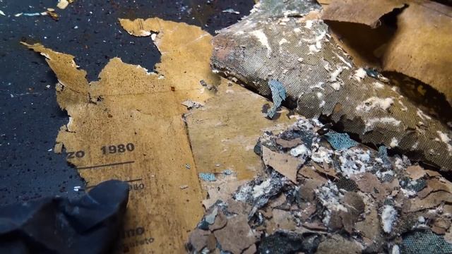 ENCUENTRO VIDA en BUNKER NUCLEAR de la OTAN | KIBARA | Base SECRETA de 1950 Abandonada - II Parte смотреть онлайн