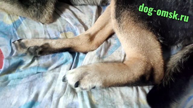 Почему мы ездили в клинику. смотреть онлайн