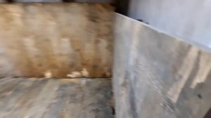 Утепляем свинарник.