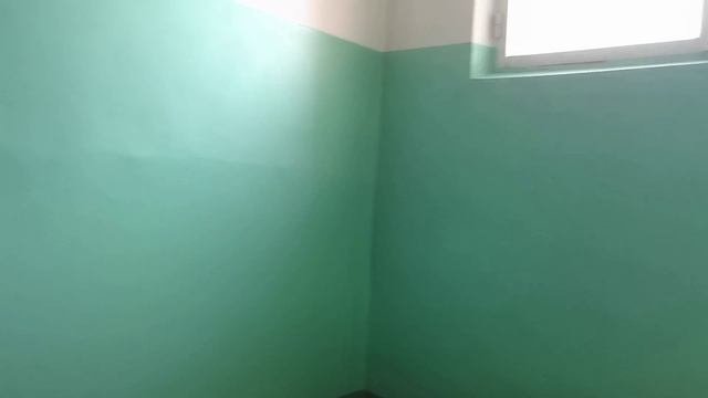 VID_20250308_123204.mp4