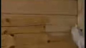 Защита деревянных фасадов антисептиком Тиккурила