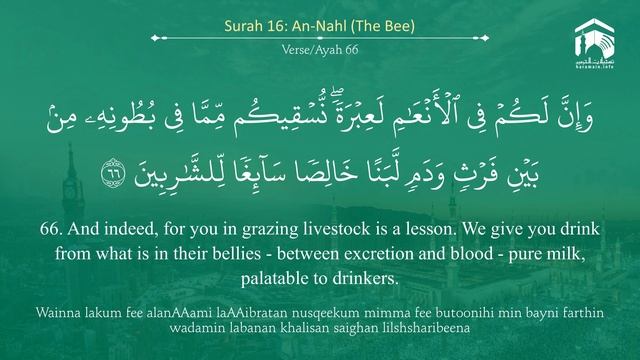 Quran 16   Surah An Nahl سورة النحل   Sheikh Salah Al Budair - With English Translation смотреть онлайн