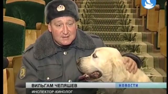 Собаки на ёлках смотреть онлайн