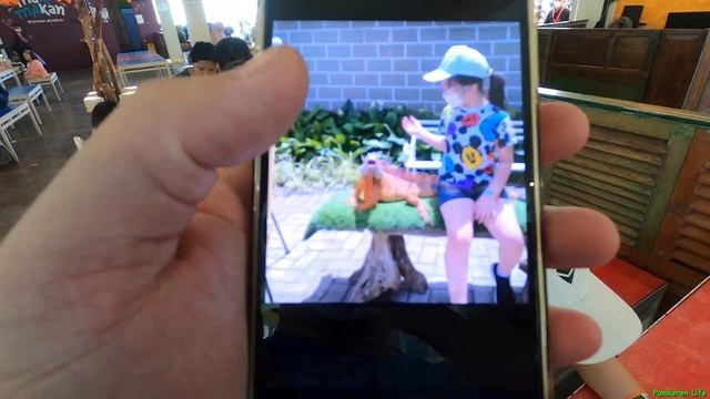 WikenTur Dadakan - Bandung Lautan Asmara | Lembang Zoo. Aryaduta Hotel. смотреть онлайн