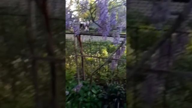 4 мая 2023 г. смотреть онлайн