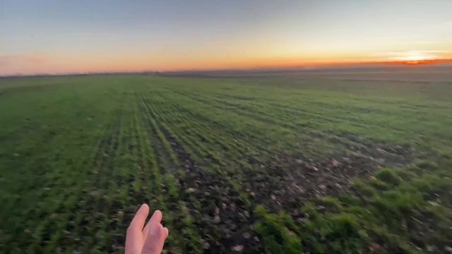 ❌Вона зійшла, результат на всі 100❗️точне землеробство це сила 💪 смотреть онлайн