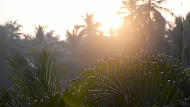 Утро смотреть онлайн