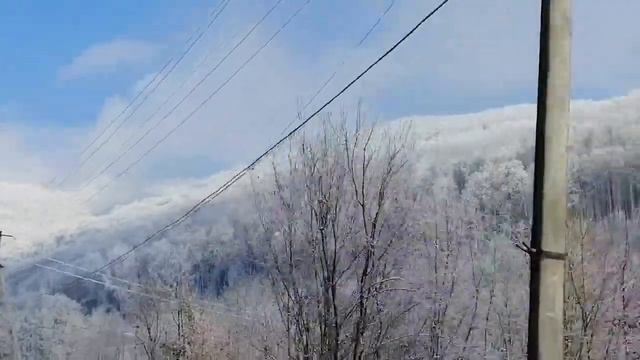 ❄️ Дорогою на Жденієво! Срібло карпатських лісів! смотреть онлайн