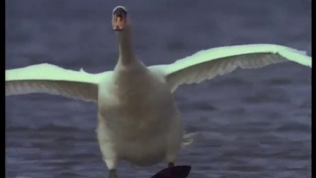 Hier word ik koud van . . . . смотреть онлайн