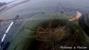 Браконьерские сети в нерестовый запрет.  Анти браконьеры 2019