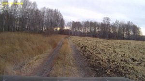 Кочковский район, ноябрь 2019