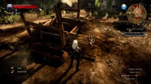 Witcher 3 - Лихо у колодца (2)