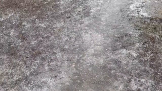 Будьте осторожны и внимательны!// Подготовка к новым жителям смотреть онлайн