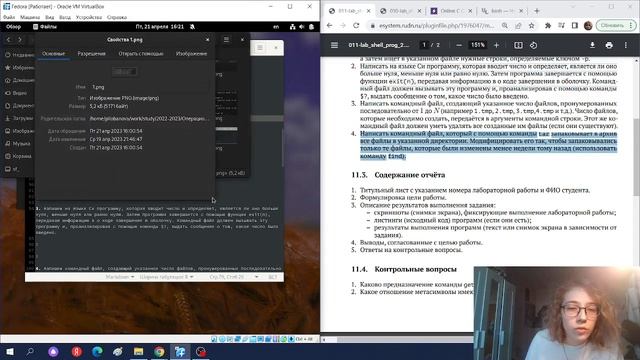 Создание отчета по лабораторной работе №11 смотреть онлайн