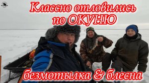 Классно отловились по ОКУНЮ 🔥 Безмотылка & Блесна 💪