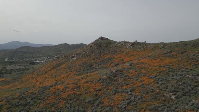 DJI Mini 3 Pro - Manual Flight @ Steele Peak смотреть онлайн