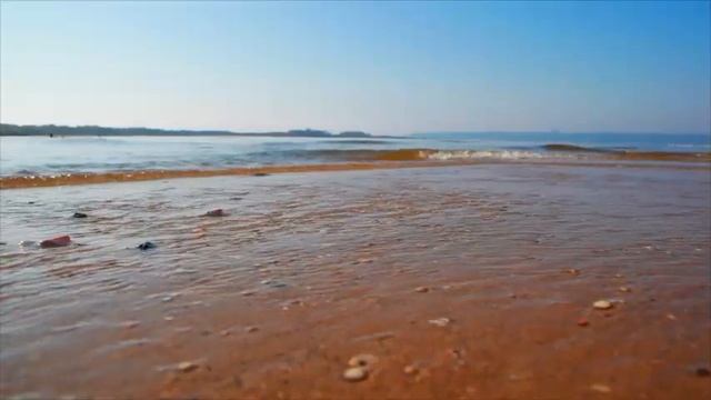 Littoral Zen