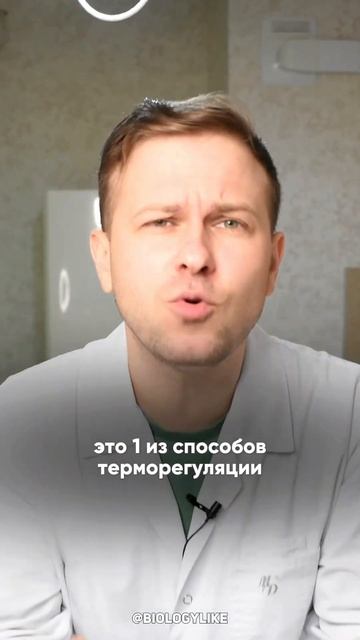 Почему же у крыс ЛЫСЫЙ ХВОСТ?! 🤯 #научныеистории #анатомия #биология #крысы #подковальников смотреть онлайн