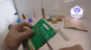 Томат Победитель. Евро-Семена