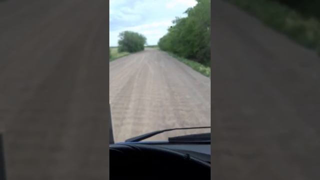 Дорога Уральск - Илек