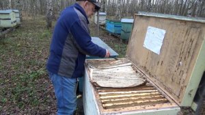 Отбор мёда 8 ноября. 2019 год оказался слабоват на медосбор. Владимирский улей лежак.