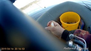 Нерест 2019. Ловля плотвы на Чудском озере на попловочную удочку..