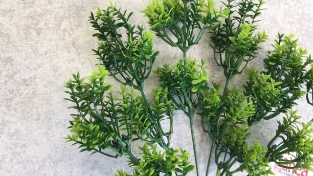 Травичка рдест смотреть онлайн