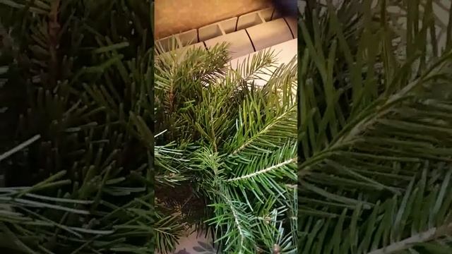 Рождественский венок для самостоятельного украшения смотреть онлайн