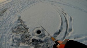 Зимняя рыбалка.  Щука на Ратлины , Vib с Алиэкспресс .  Окунь на балансир