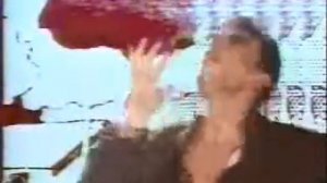 Tarzan Boy - Baltimora