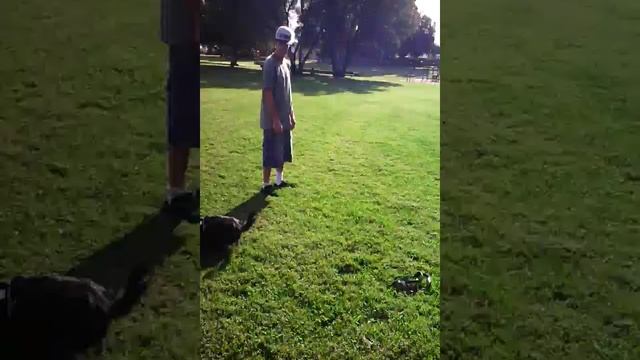 Zoe and Bentley. смотреть онлайн