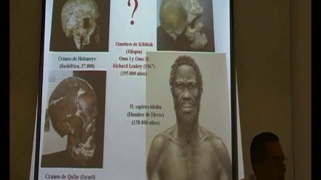 El Linaje Homo 15/15 - Los Sapiens Más Antiguos Conocidos - Prof. Manuel Lafarga смотреть онлайн