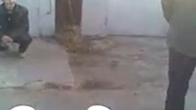 Перевод в Высотники