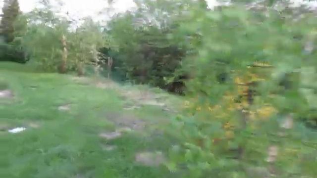 Milonowice raj 2009 wiosna SPRING POLAND смотреть онлайн