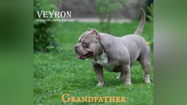 Американская малышка в ожидании родителей ❤ смотреть онлайн