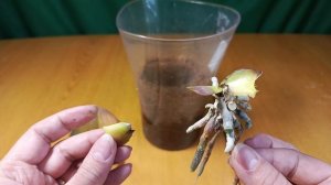 Первая потеря в 2025 году.