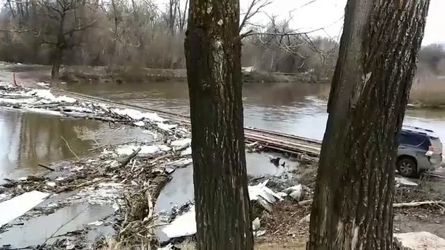 Отрадный сегодня 22 марта 2020 года смотреть онлайн