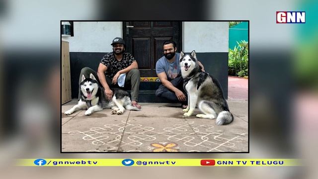 Tango Zoya Date Day: Manchu Manoj Pet Getting Married With Sai Dharam Tej Pet 😉🥰| GNN Film Dhaba смотреть онлайн