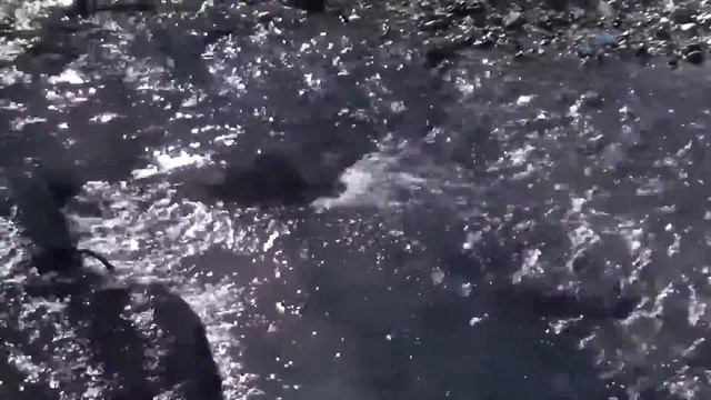 Салгир 26 12 2017 г смотреть онлайн