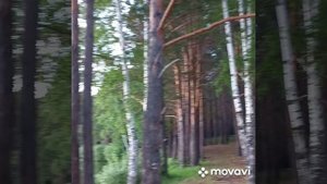 Ермаковский пруд.