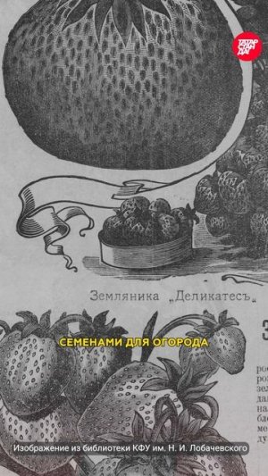 Старейший магазин цветов в самом центре Казани, работающий с 1900 года. #казань #татарстан #цветы