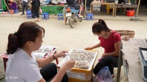 Harvesting zucchini - improving the soil - cooking - farm life l Lý Thị Sai