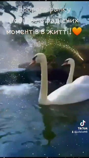 Доброго ранку🌞🦢 смотреть онлайн