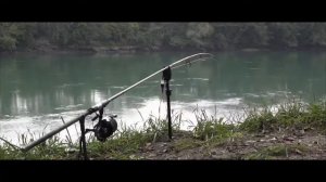 Рыбалка на карпа!! Вот это поклёвки